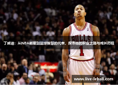 丁威迪：从NBA新星到篮球智慧的代表，探索他的职业之路与成长历程