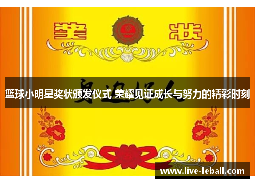 篮球小明星奖状颁发仪式 荣耀见证成长与努力的精彩时刻