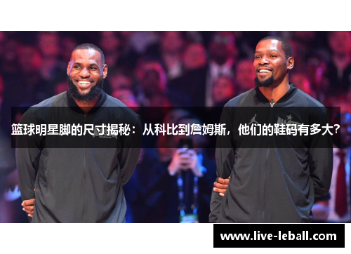 篮球明星脚的尺寸揭秘：从科比到詹姆斯，他们的鞋码有多大？