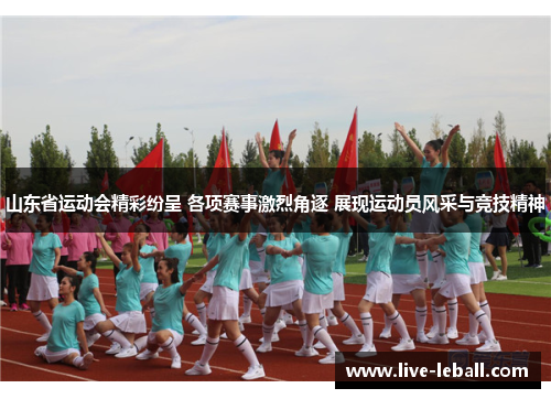 山东省运动会精彩纷呈 各项赛事激烈角逐 展现运动员风采与竞技精神
